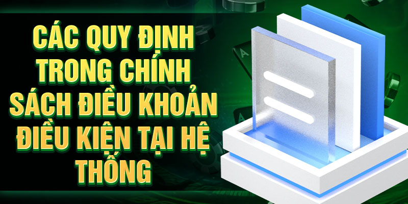 Các quy định trong chính sách điều khoản điều kiện tại hệ thống